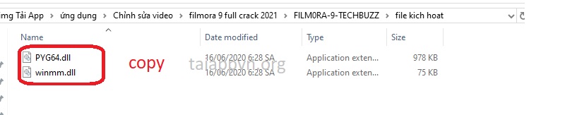 Copy 2 file là PYG64.dll và winmm.dll