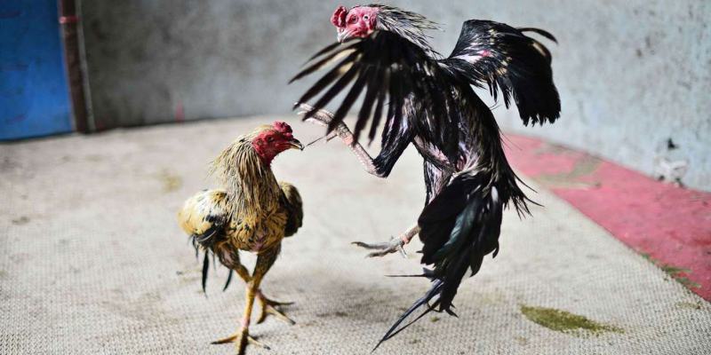 Đặc biệt chú ý về việc bổ sung dinh dưỡng